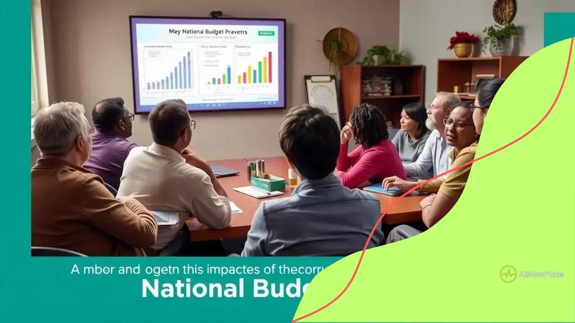 How National Budget Reviews Affect Citizens
